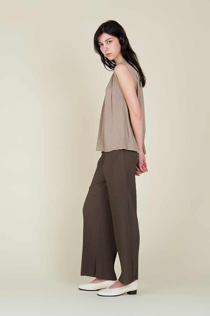 Pleated Pants