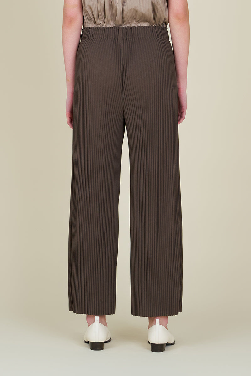 Pleated Pants