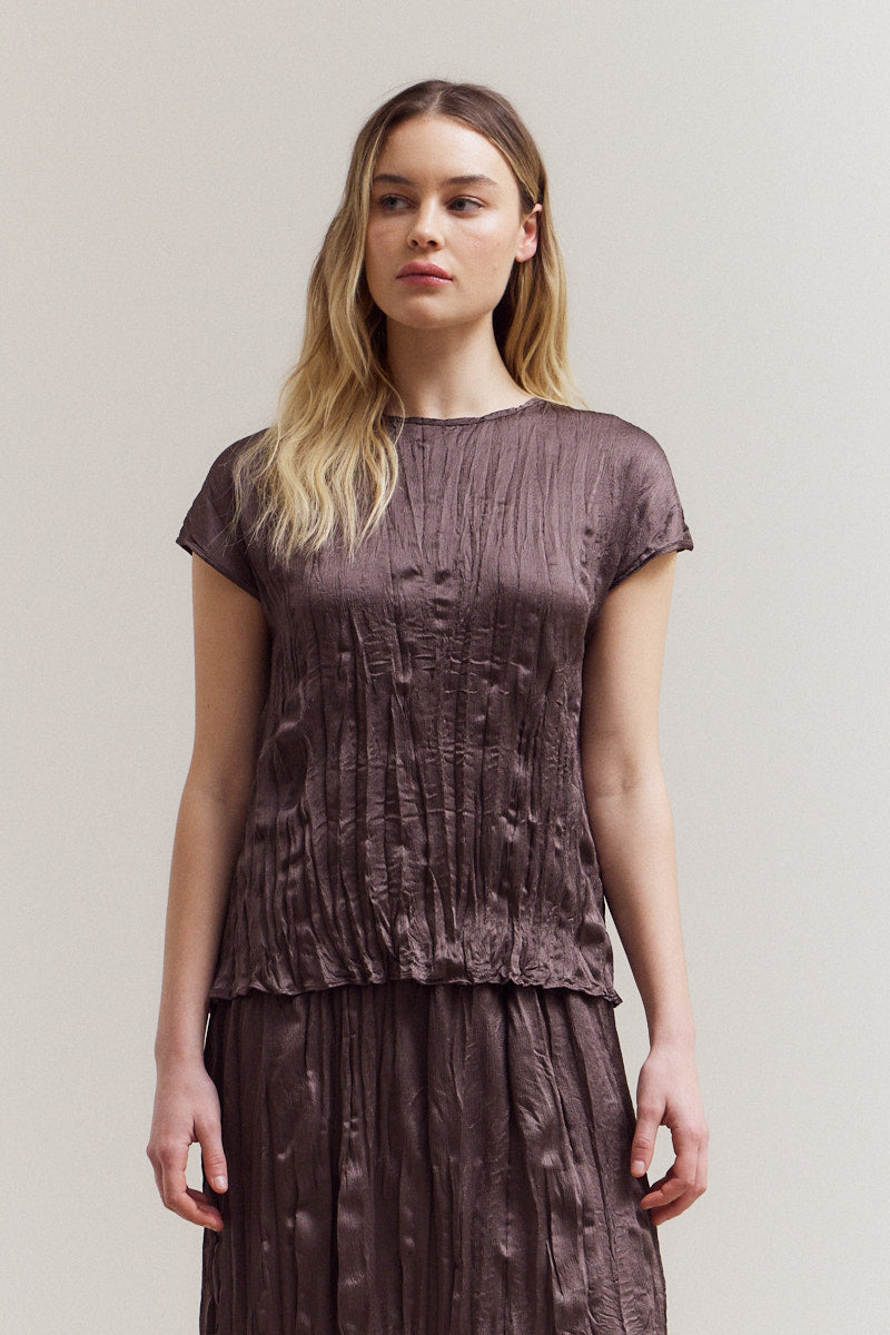 Pleated Wrinkle Satin Top