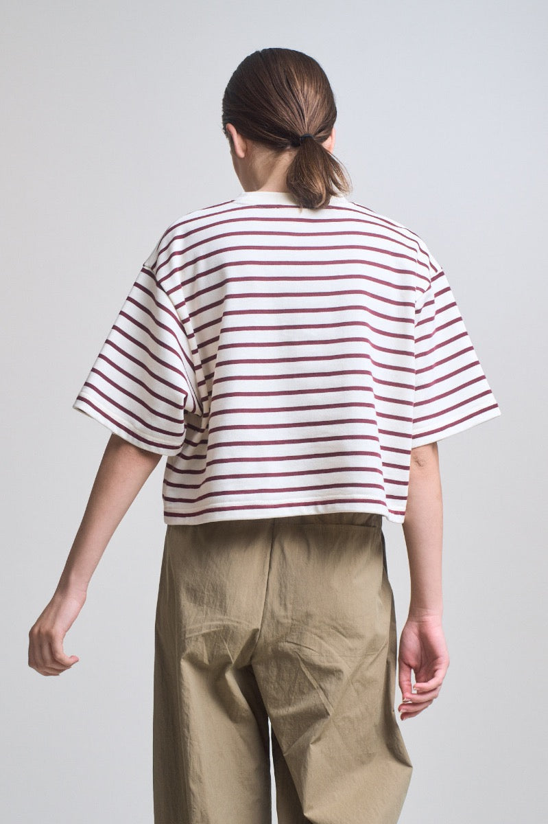 Loose Fit Cropped Stripe T-Shirt in Brick