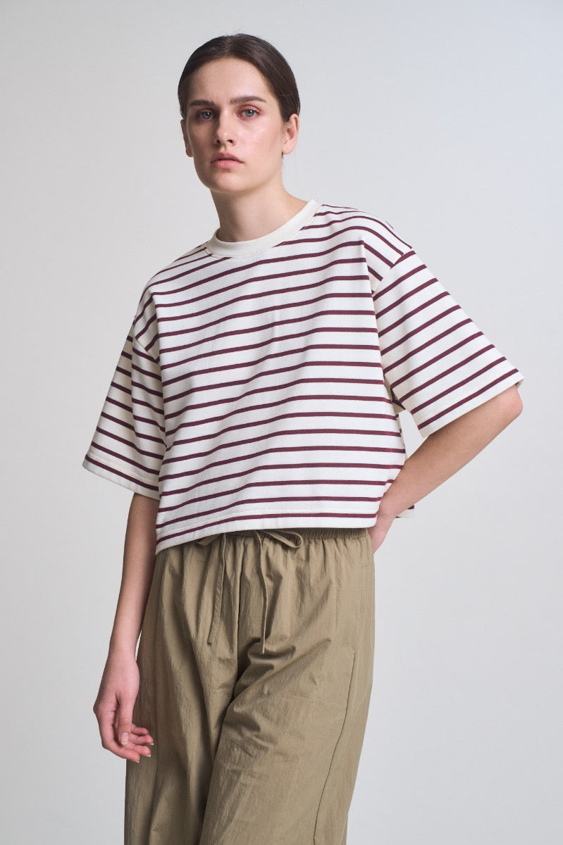 Loose Fit Cropped Stripe T-Shirt in Brick