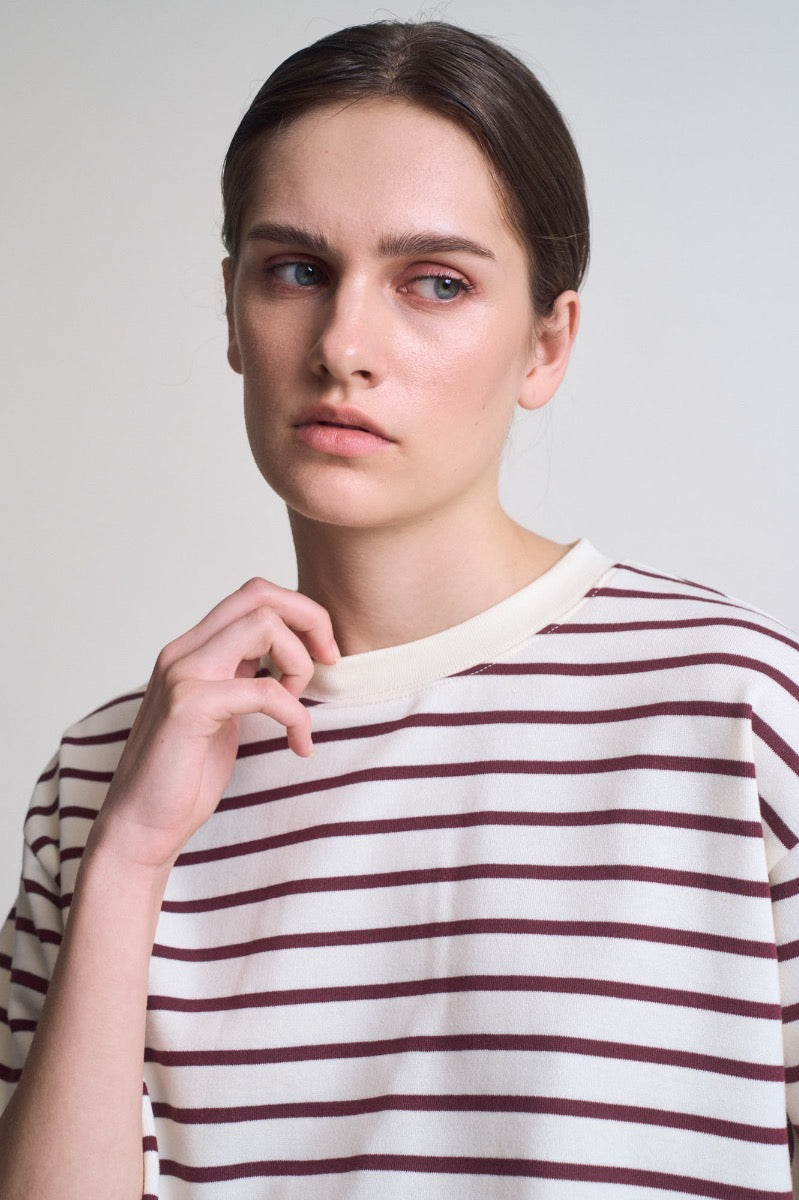 Loose Fit Cropped Stripe T-Shirt in Brick