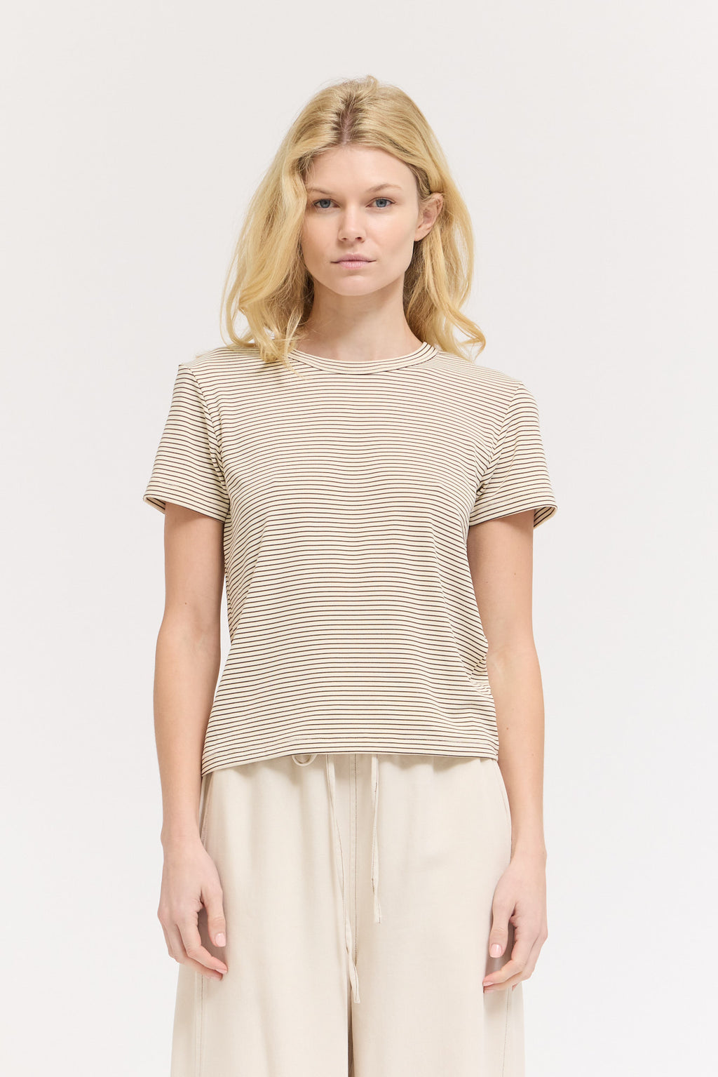 Standard Fit Stripe Cotton T Shirt in Tobacco