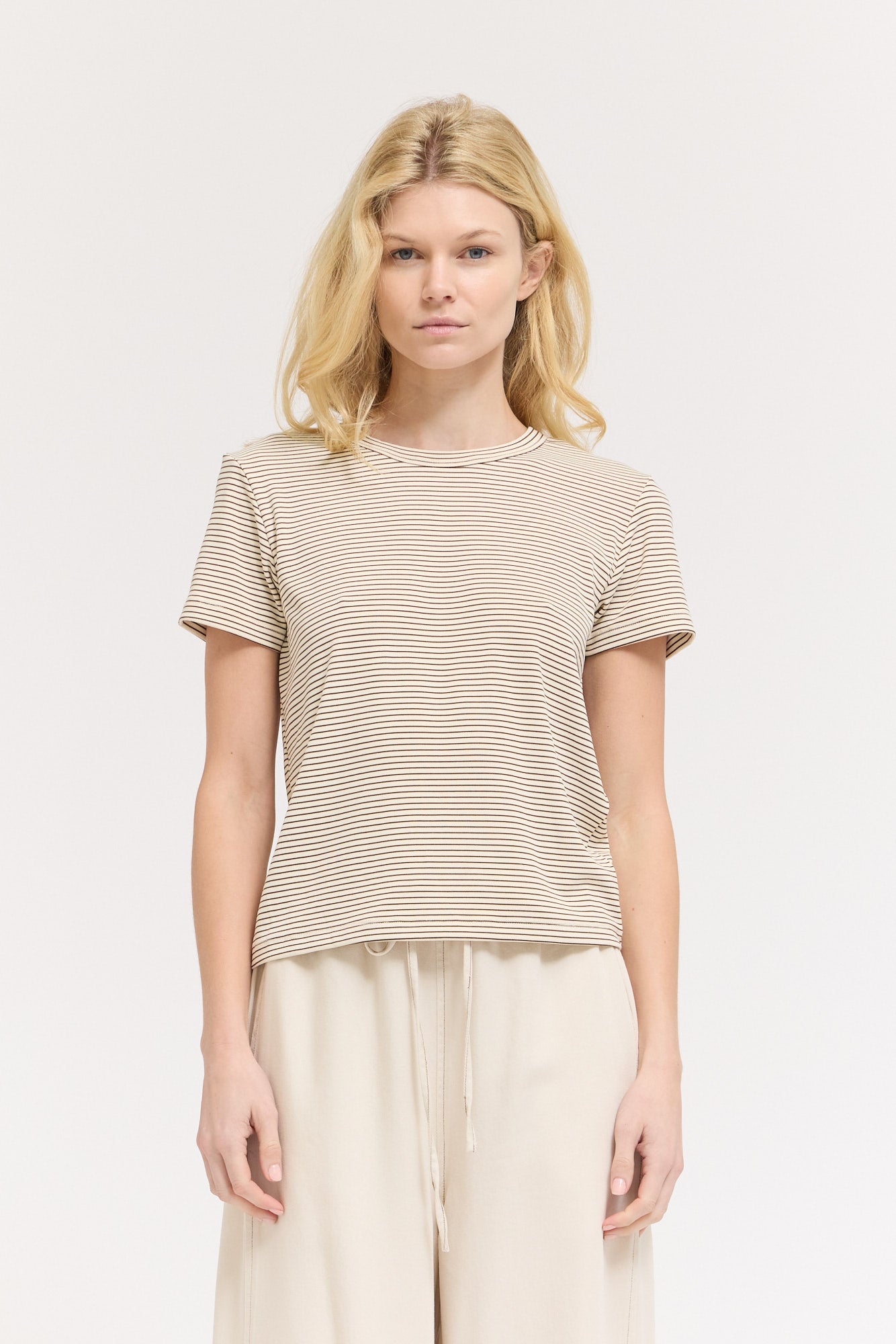 Standard Fit Stripe Cotton T Shirt in Tobacco
