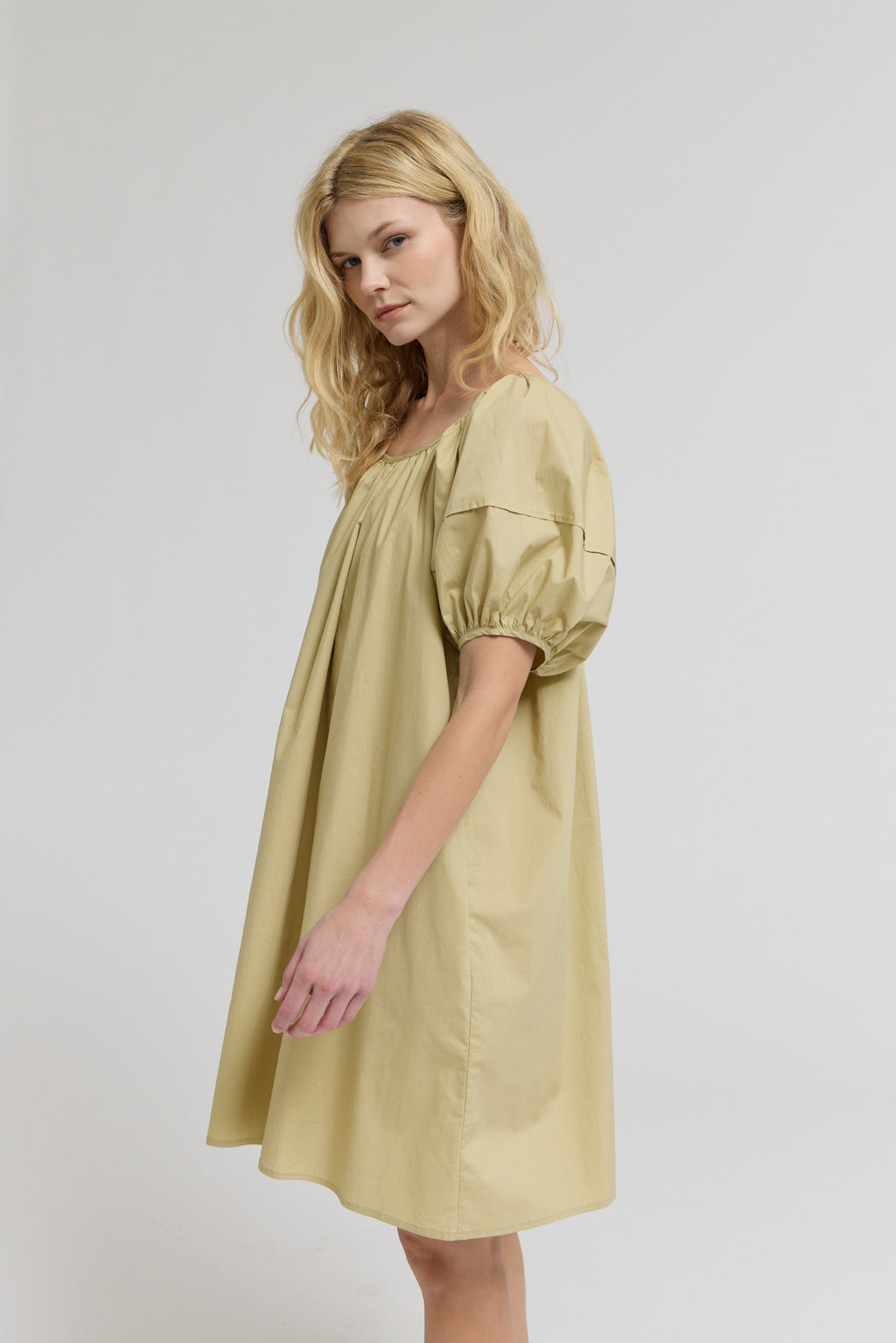 Puff Sleeves Tie Back Mini Dress